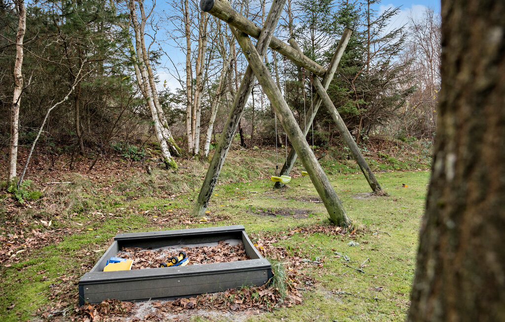 Feriehuse - Vedersø Klit/Vester Husby , Danmark - A4611 9