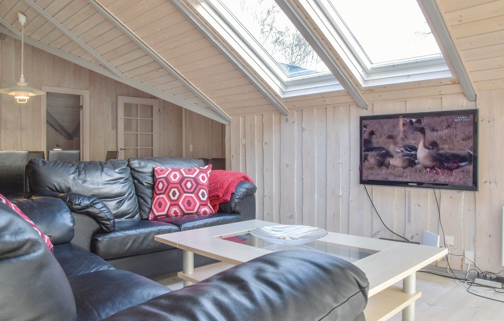 Semesterhus - Søndervig/Lodbjerg Hede , Danmark - A4773 7