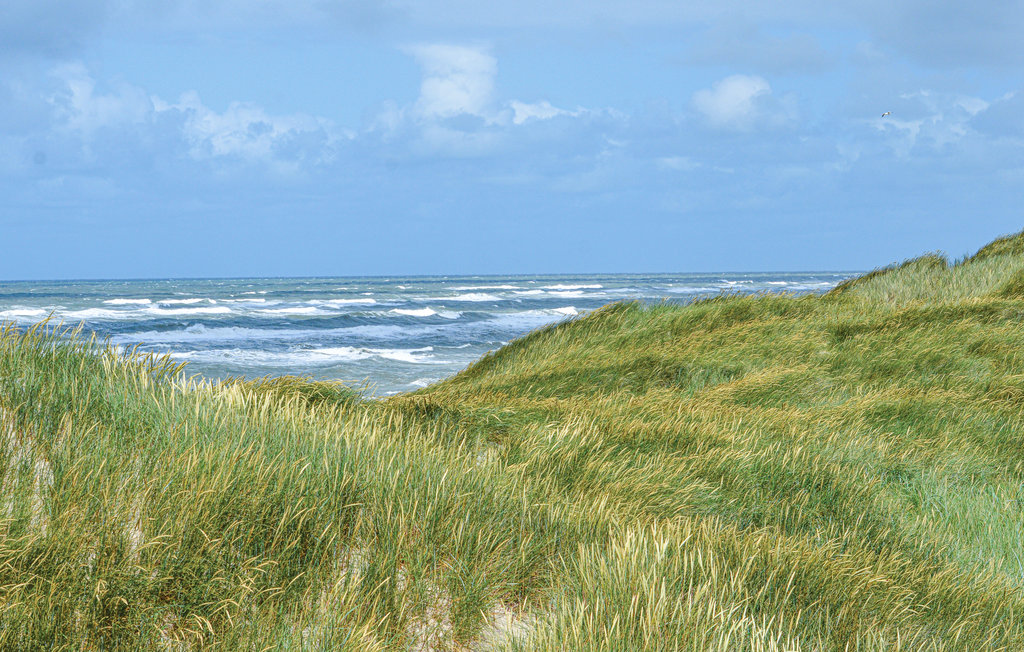 Feriehus - Søndervig Strand , Danmark - A4749 38