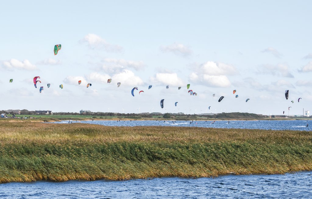 Semesterhus - Søndervig/Lodbjerg Hede , Danmark - A4773 17