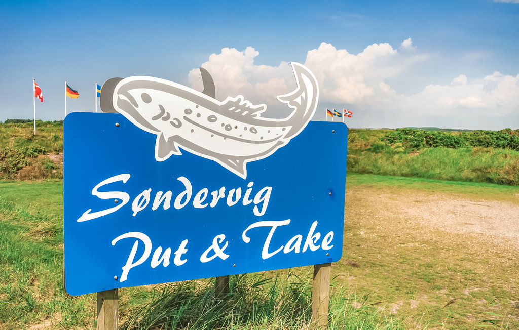 Feriehuse - Søndervig Strand , Danmark - A4820 29