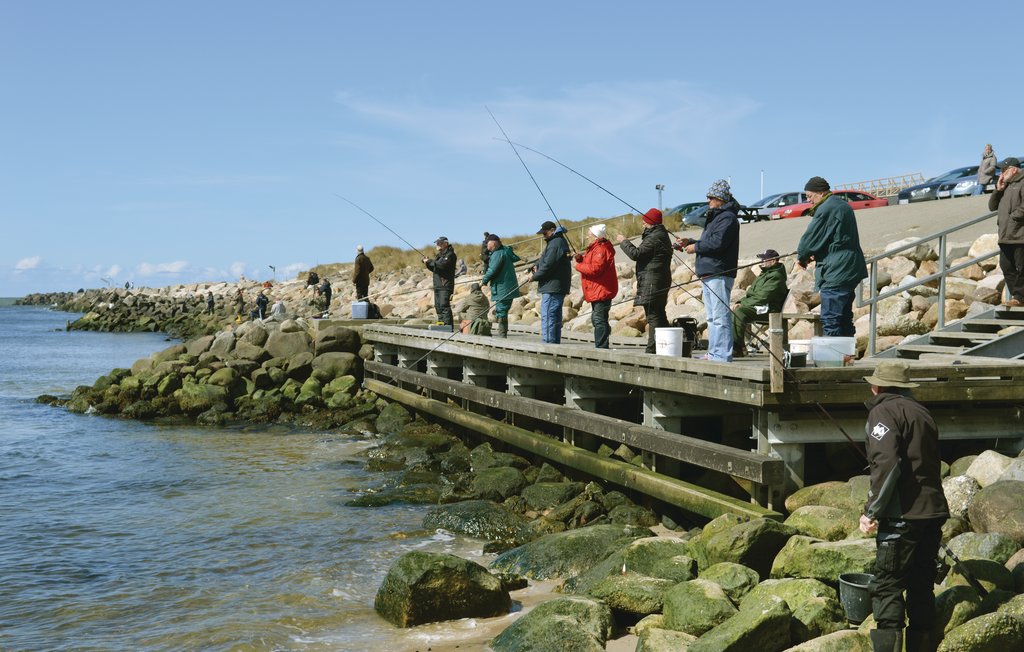 Semesterhus - Thorsminde Strand , Danmark - A5084 27