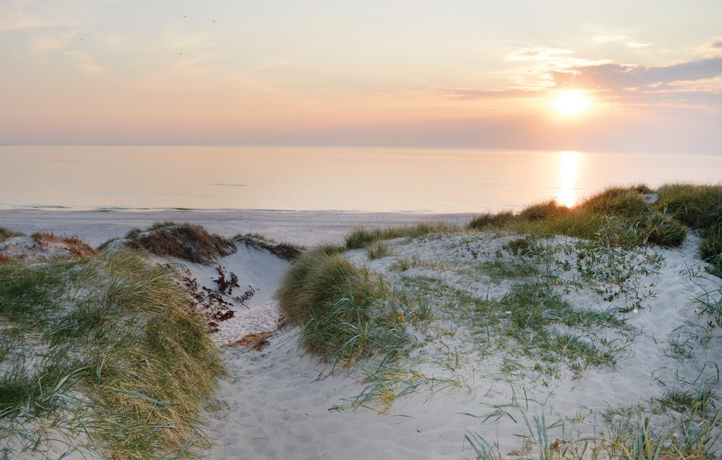 Feriehuse - Vejlby Klit , Danmark - A5012 31