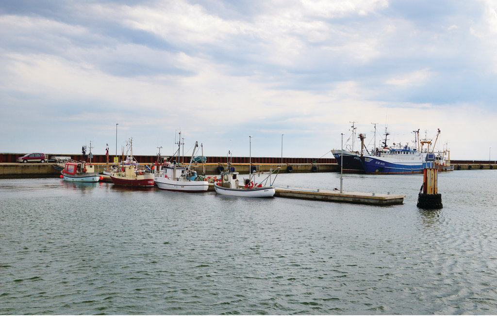 Ferienhaus - Vejlby Klit , Dänemark - A5016 23