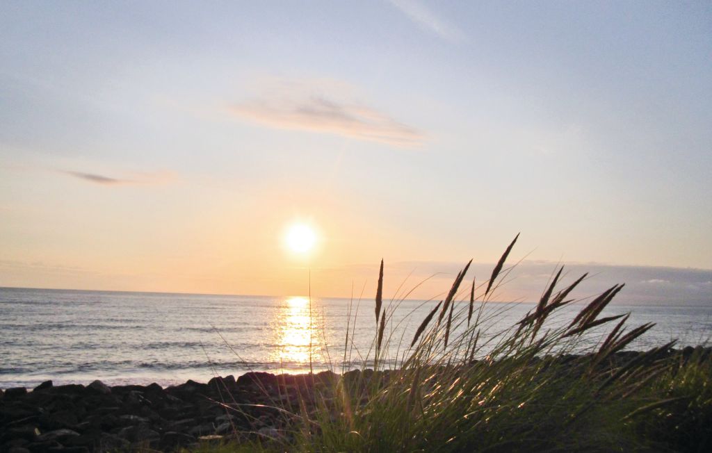 Feriehus - Fjaltring Strand , Danmark - A5008 19