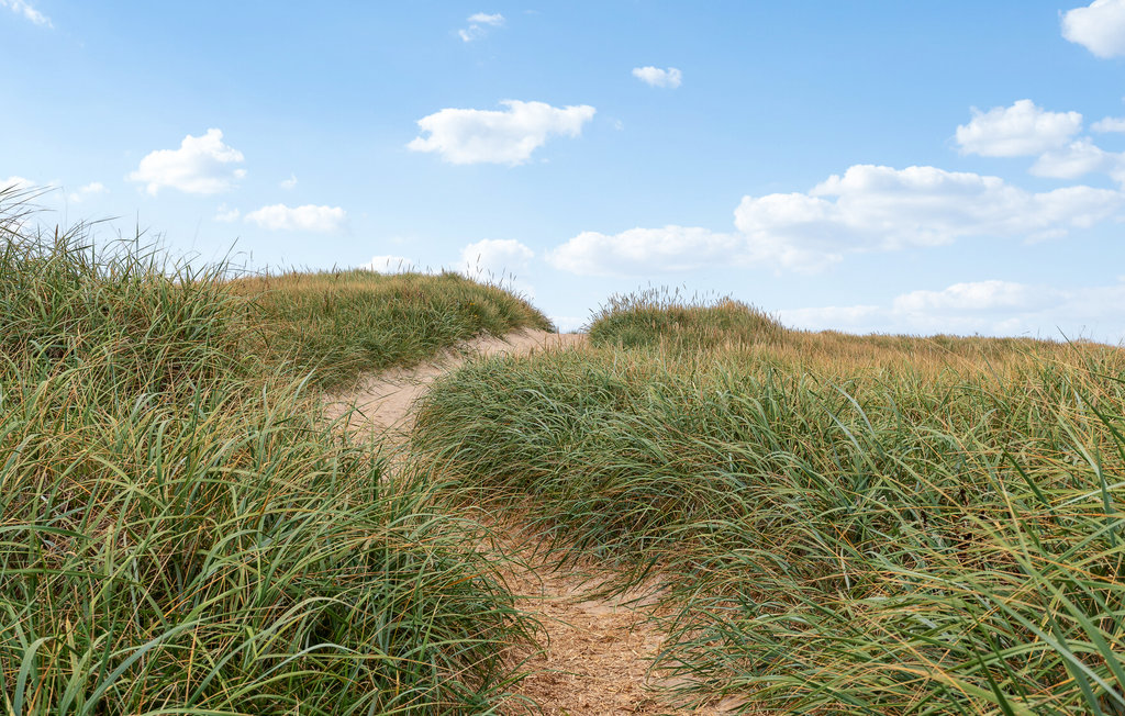 Feriehuse - Vrist Strand , Danmark - A5383 20