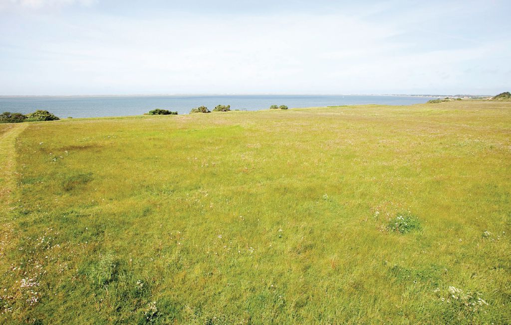 Ferienhaus - Kærgården/Krik Vig , Dänemark - A6256 24