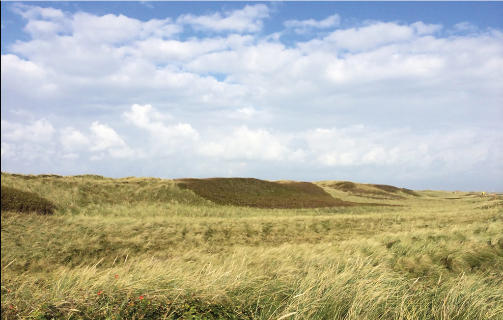 Ferienhaus - Agger Strand , Dänemark - A6207 9