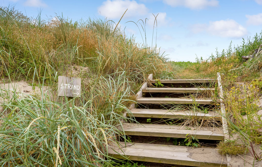 Kuća-za-odmor - Fjaltring , Danska - A6460 17