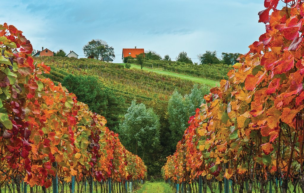 Feriehus - Eisenberg , Østerrike - ABU114 28