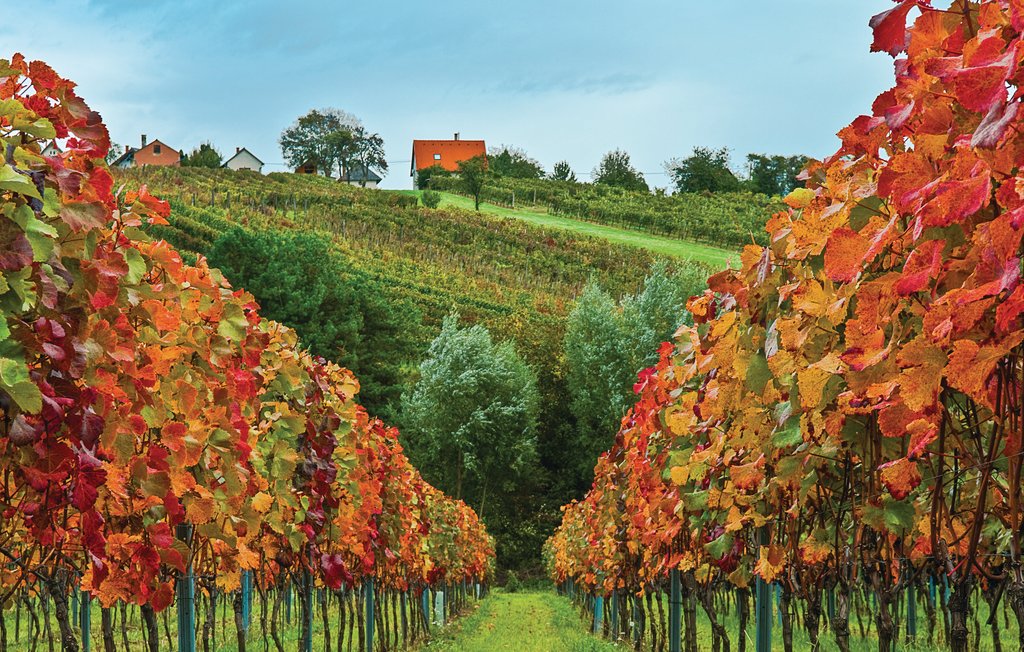 Feriehus - Eisenberg , Østerrike - ABU115 17