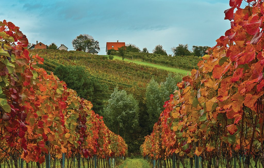 Ferienwohnung - Eisenberg , Österreich - ABU117 23