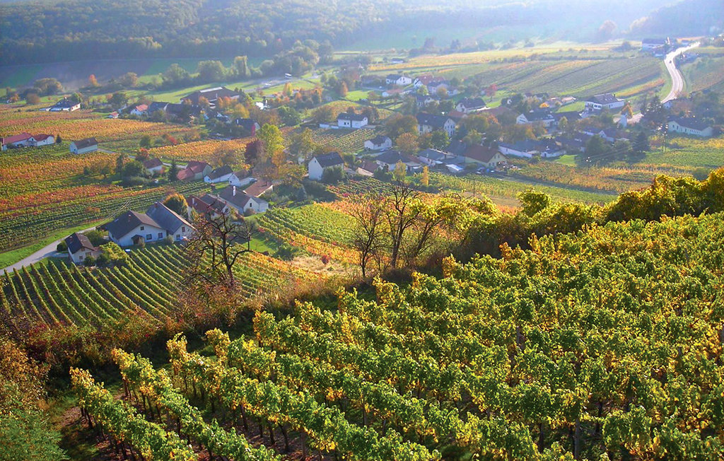 Feriehuse - Deutsch Schützen , Østrig - ABU118 18