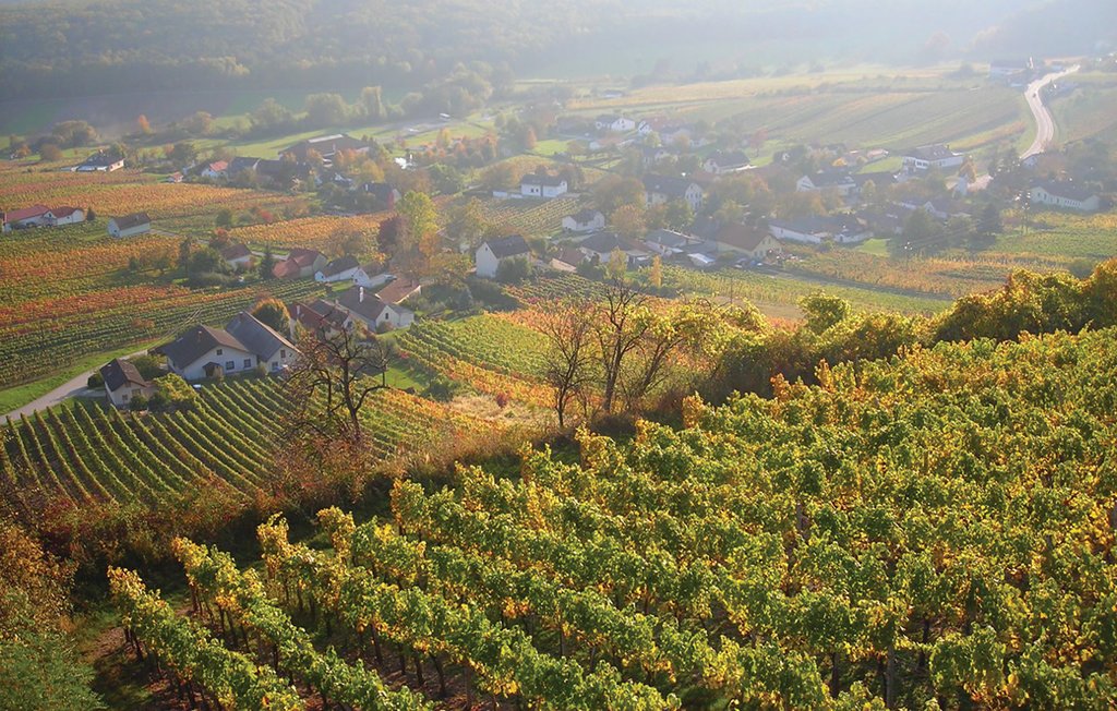 Feriehuse - Reinersdorf , Østrig - ABU120 33