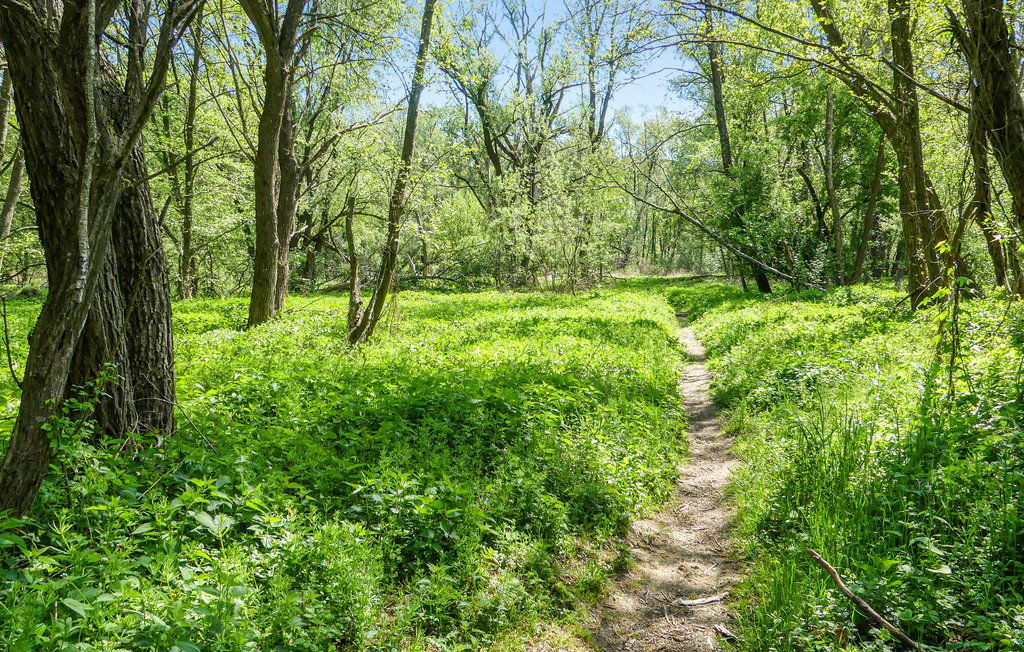 Ferieleilighet - Südburgenland , Østerrike - ABU175 24