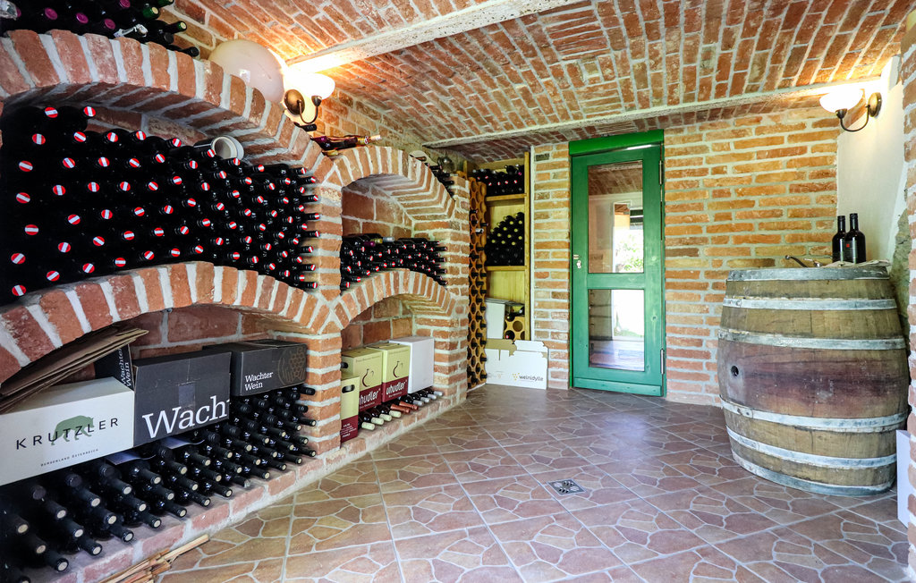 Feriehuse - Deutsch Schützen , Østrig - ABU118 17