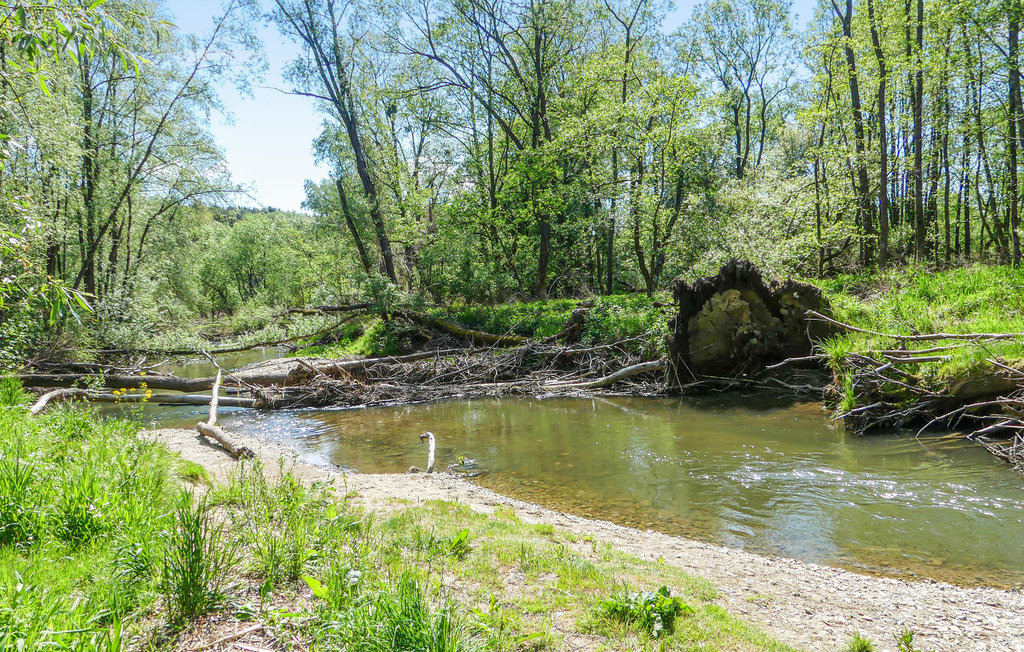 Ferieleilighet - Südburgenland , Østerrike - ABU175 23