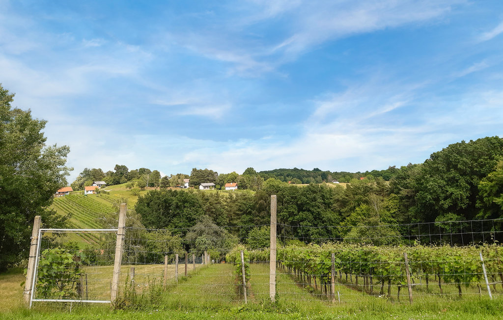 Feriehus - Südburgenland , Østerrike - ABU178 22