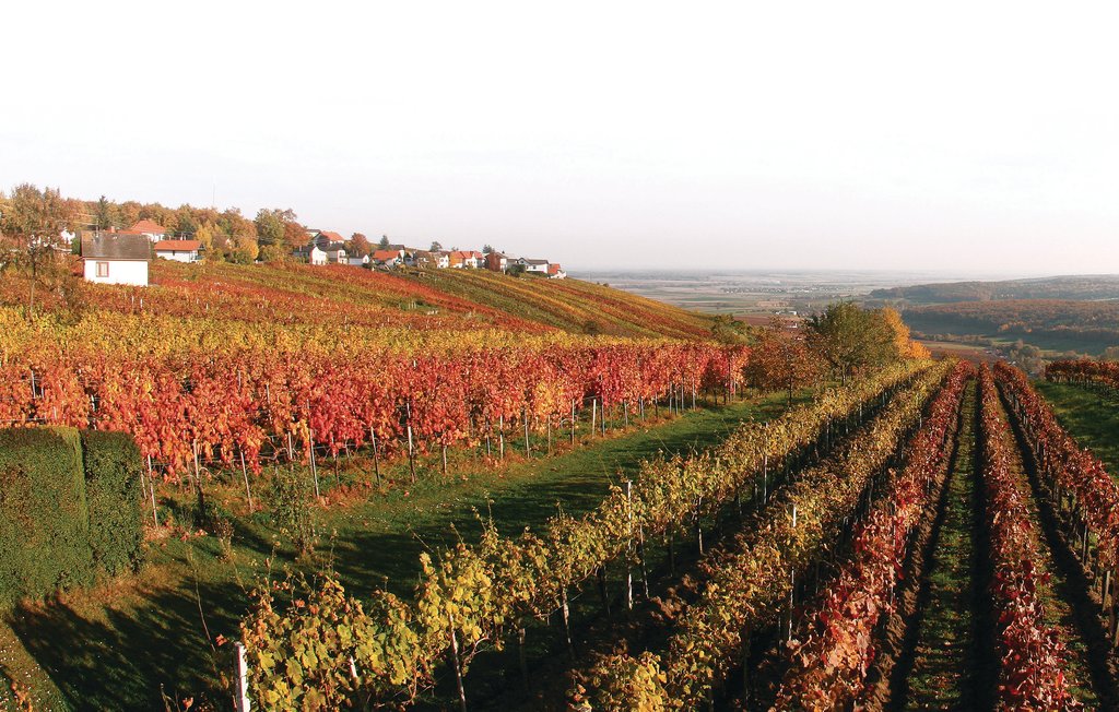 Feriehus - Gaas , Østerrike - ABU133 22