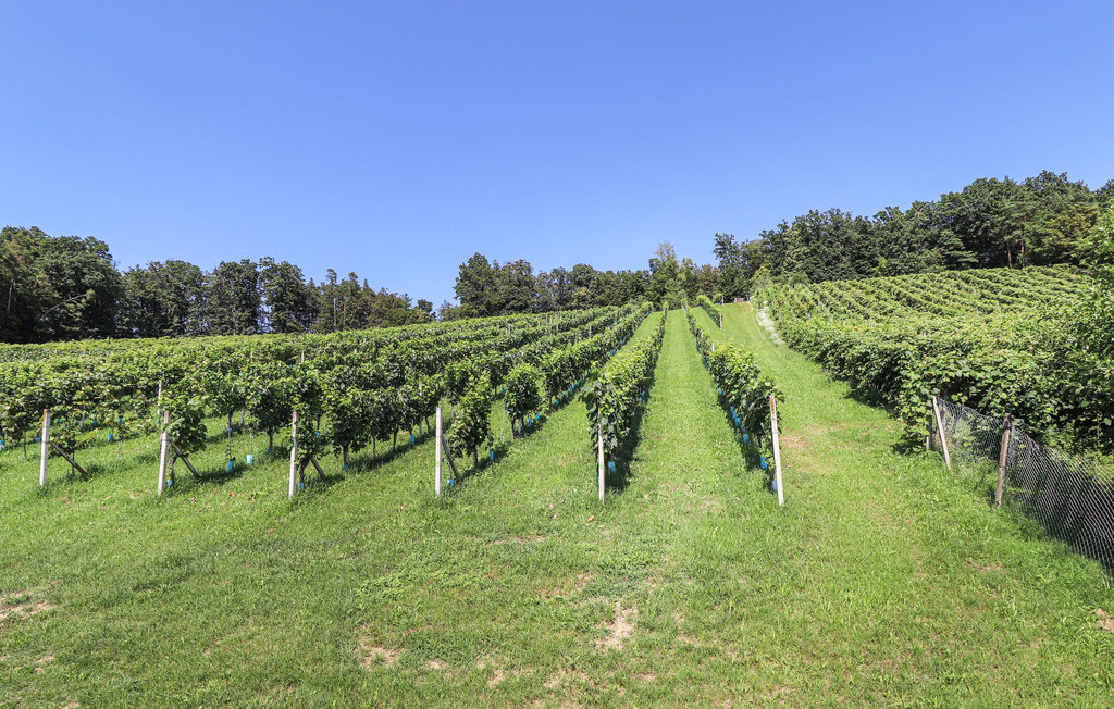 Feriehus - Südburgenland/Eltendorf , Østerrike - ABU177 6
