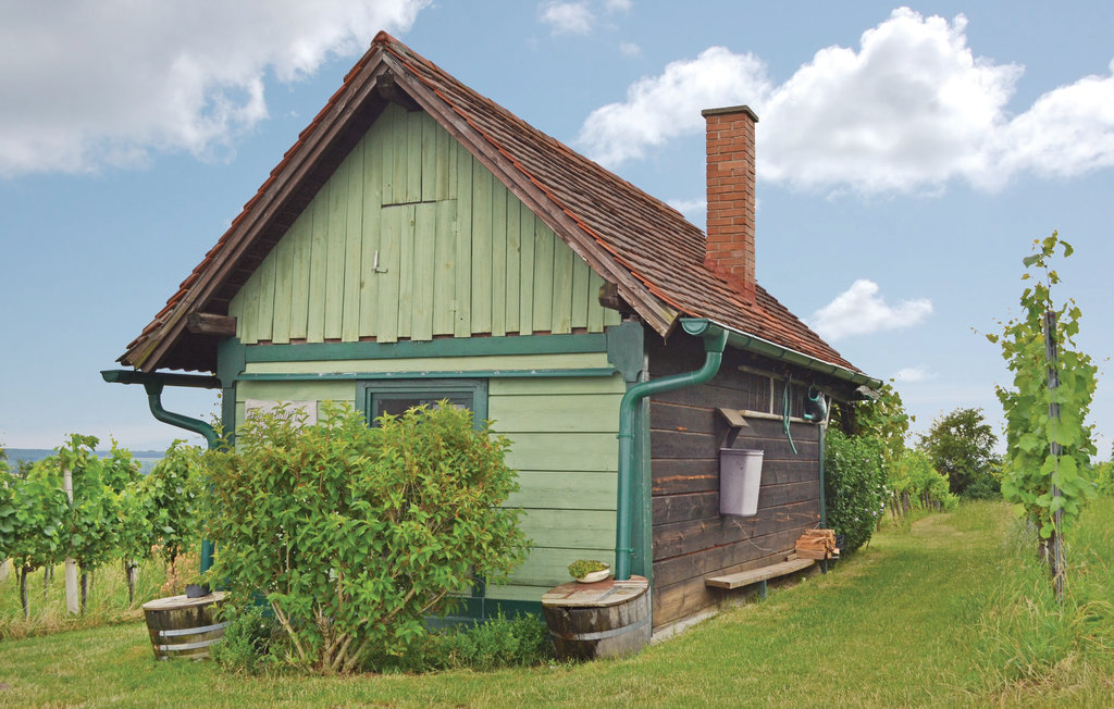 Feriehus - Deutsch-Schützen , Østerrike - ABU102 7