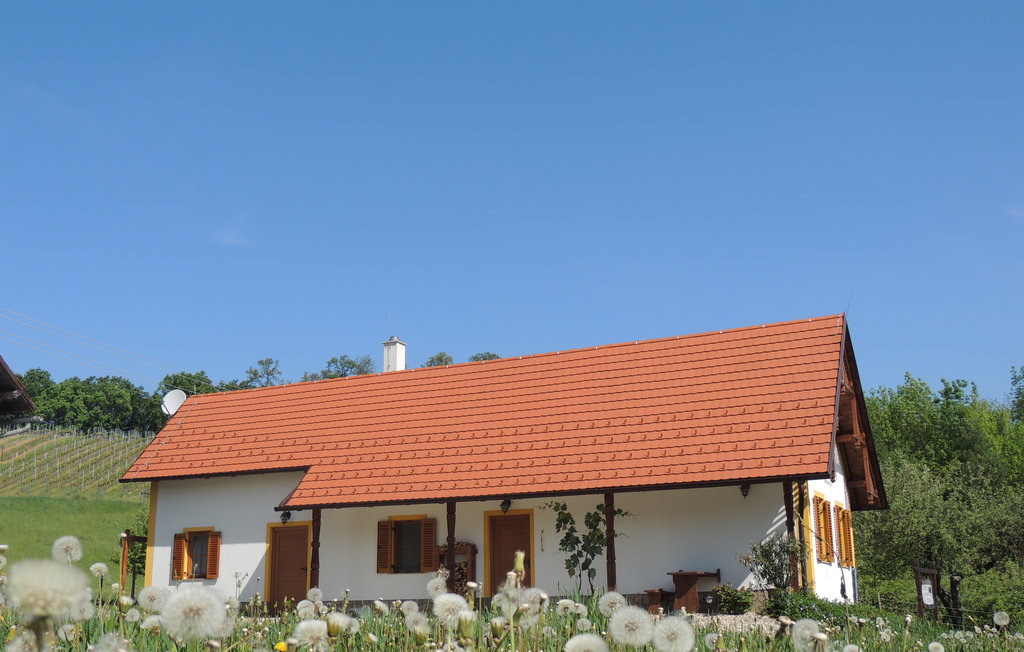 Feriehus - Gaas , Østerrike - ABU122 6