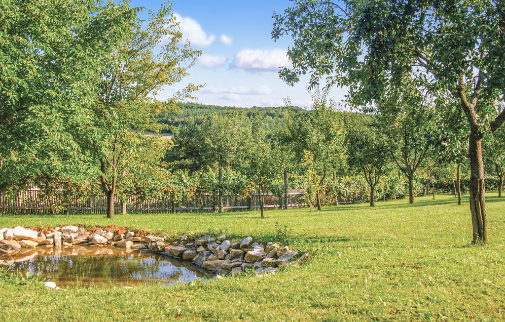Feriehuse - Reinersdorf , Østrig - ABU120 4
