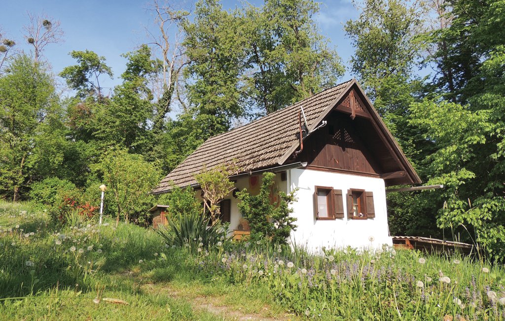 Feriehus - Heiligenbrunn , Østerrike - ABU121 9
