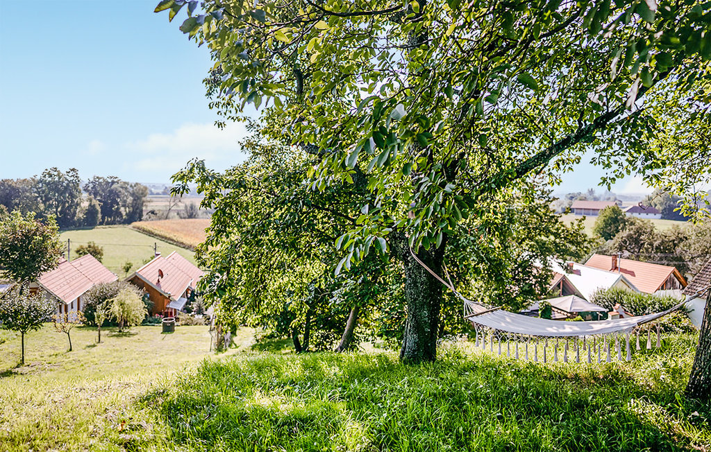 Ferienhaus - Moschendorf , Österreich - ABU199 2