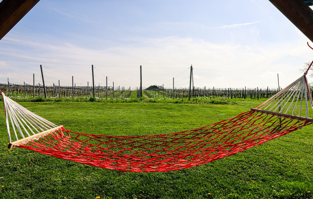 Feriehuse - Deutsch Schützen , Østrig - ABU118 11