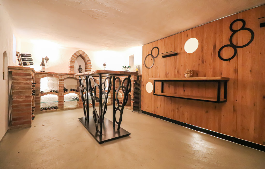 Feriehuse - Südburgenland , Østrig - ABU170 6