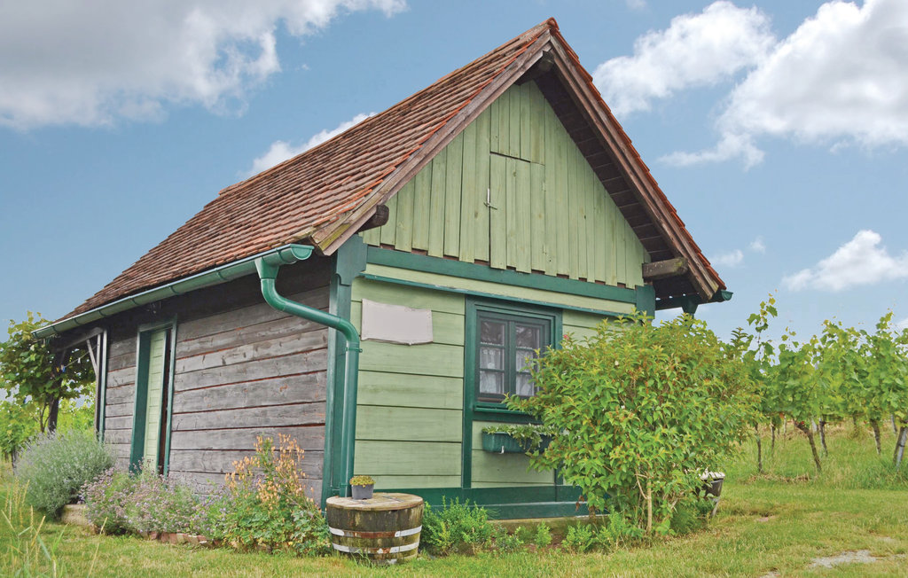 Feriehus - Deutsch-Schützen , Østerrike - ABU102 8