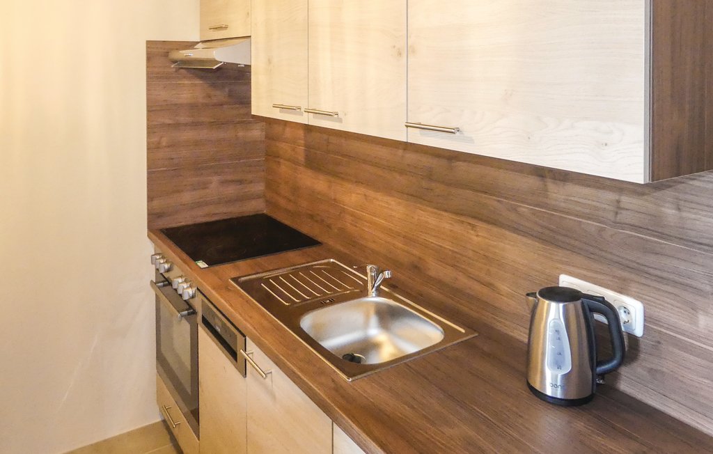 Ferienhaus - Deutsch Schützen-Südburgenland , Österreich - ABU161 4