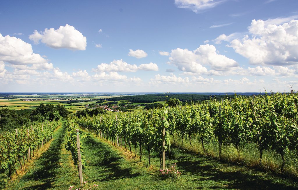 Ferieleilighet - Eisenberg , Østerrike - ABU116 9