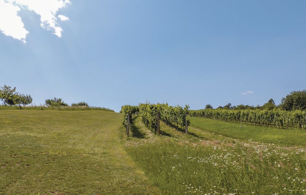 Feriehus - Kohfidisch , Østerrike - ABU119 6