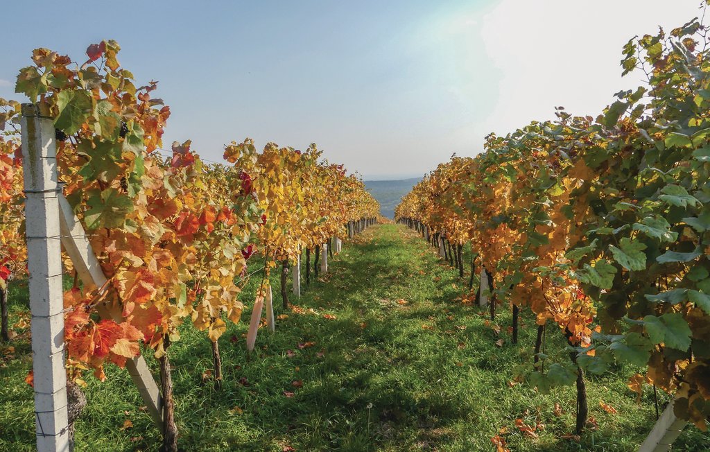 Feriehus - Eisenberg , Østerrike - ABU150 4