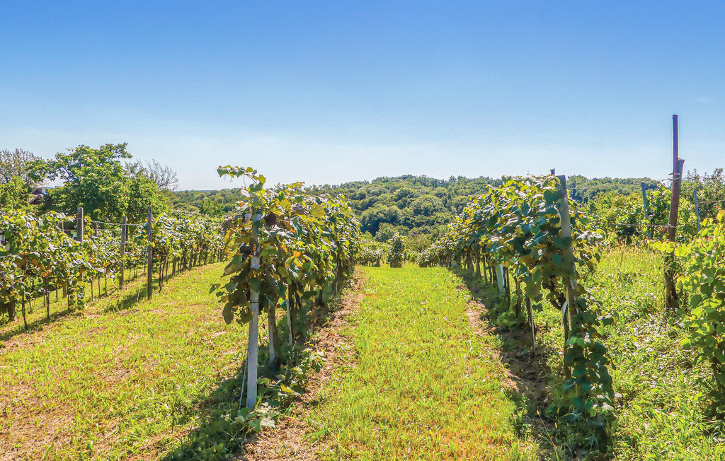 Feriehus - Heiligenbrunn , Østerrike - ABU159 5