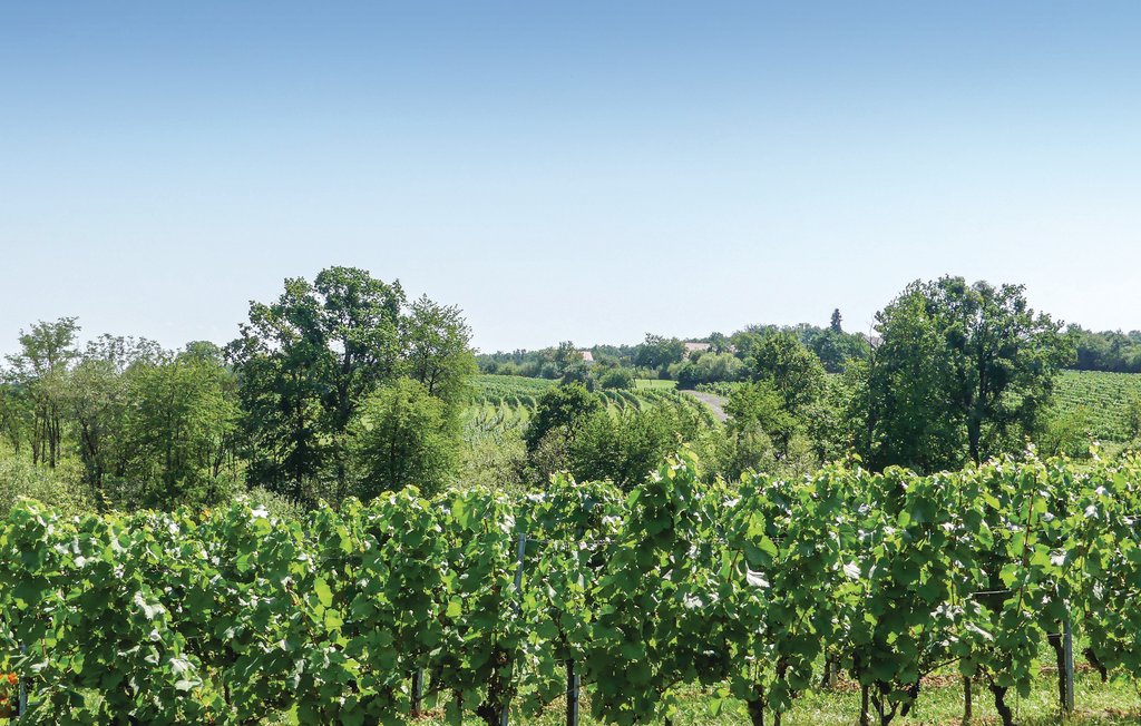 Ferienhaus - Deutsch Schützen-Südburgenland , Österreich - ABU161 14