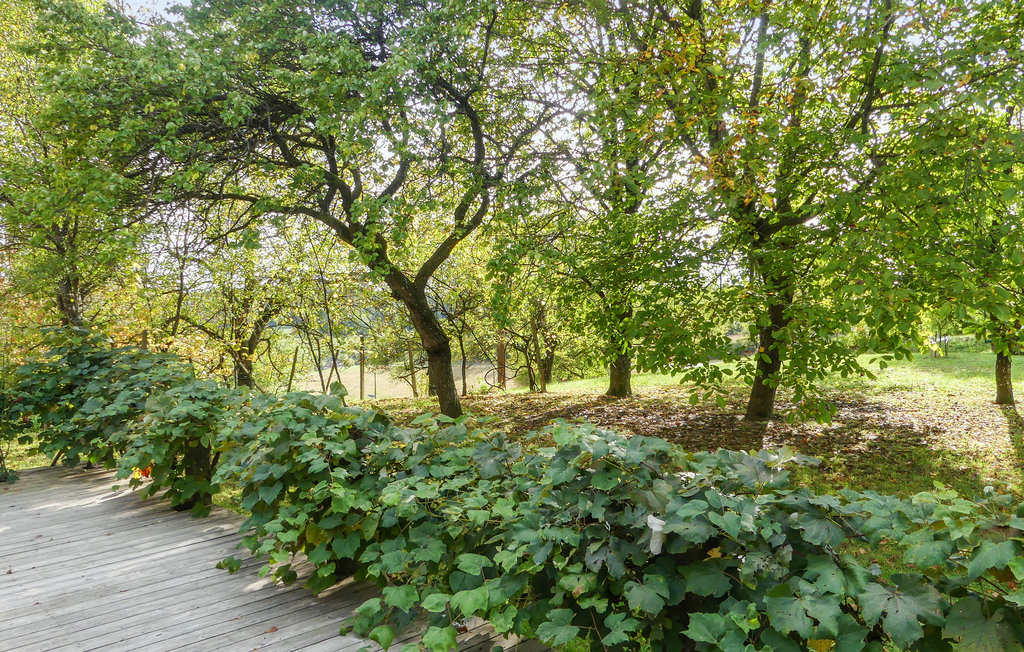 Ferieleilighet - Limbach-Südburgenland , Østerrike - ABU165 8