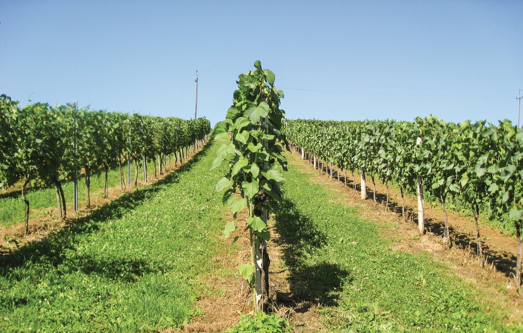 Ferieleilighet - Eisenberg , Østerrike - ABU116 10