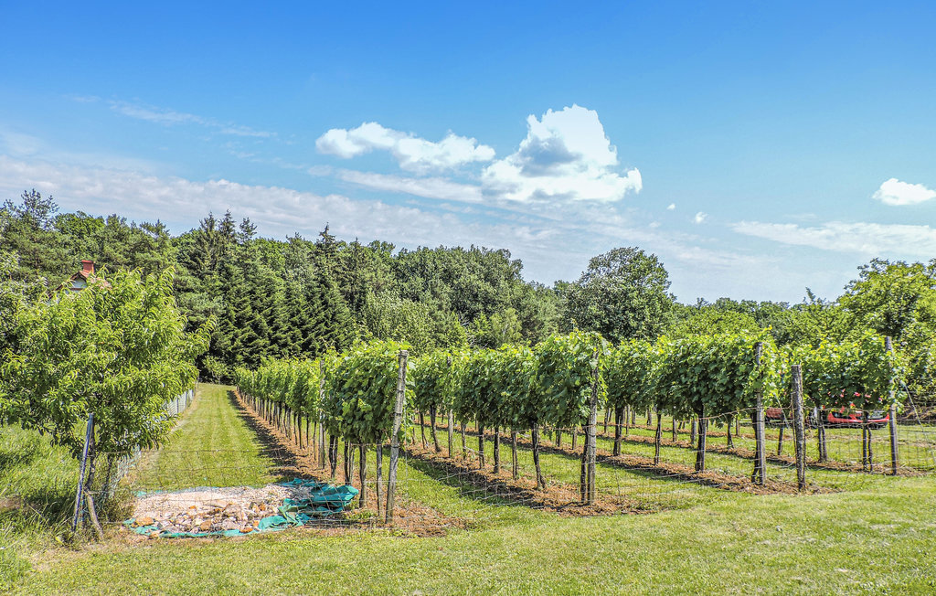 Feriehus - Kohfidisch , Østerrike - ABU119 5
