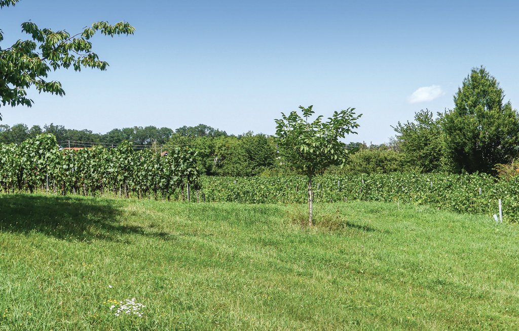 Ferienhaus - Deutsch Schützen-Südburgenland , Österreich - ABU161 15