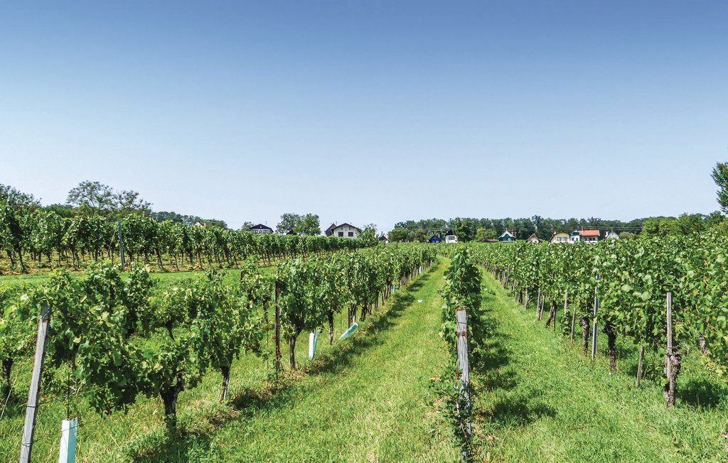 Ferienhaus - Deutsch Schützen-Südburgenland , Österreich - ABU161 16