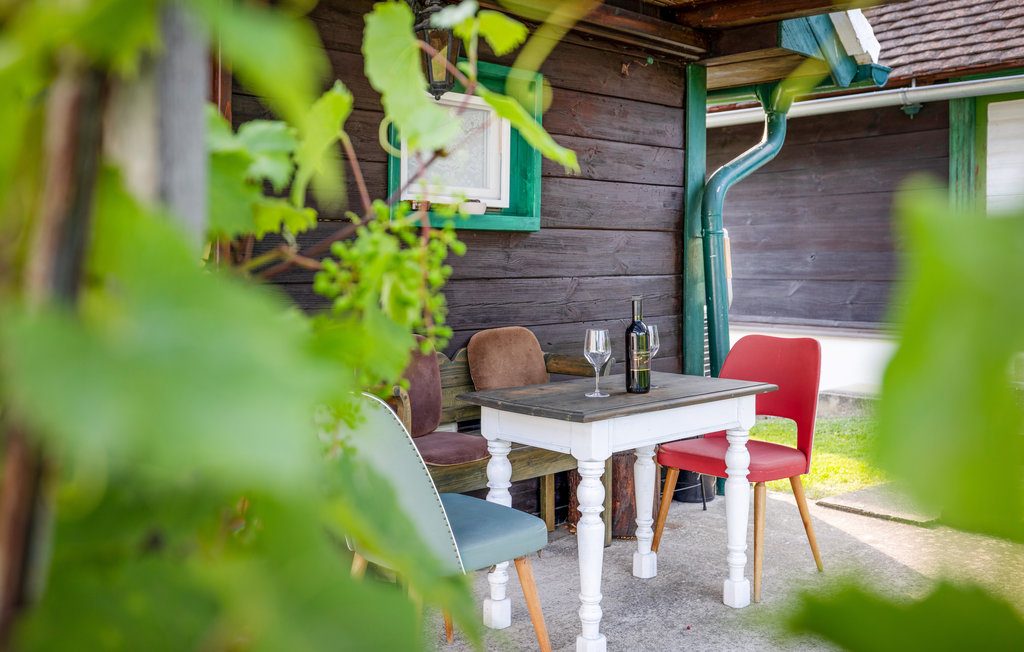 Feriehuse - Deutsch Schützen , Østrig - ABU118 10