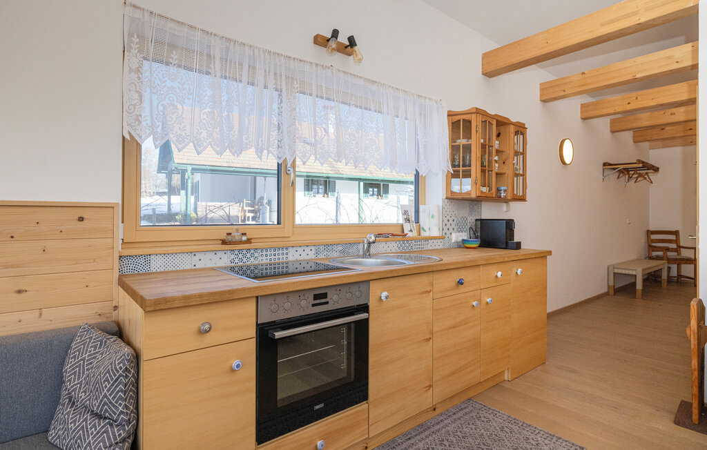 Feriehuse - Güssing , Østrig - ABU210 8