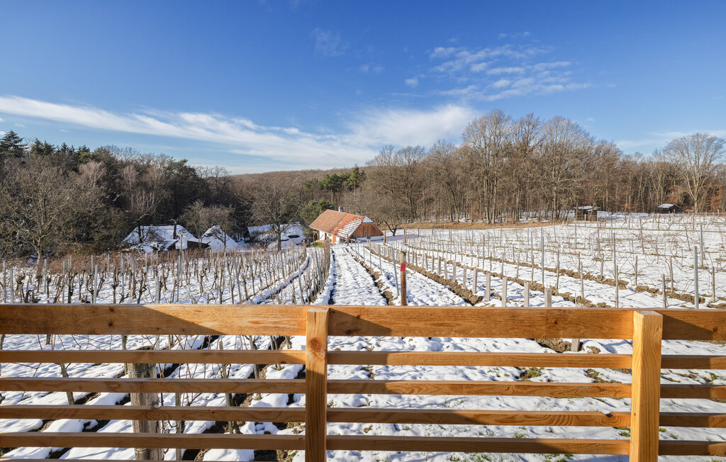 Feriehuse - Güssing , Østrig - ABU210 1