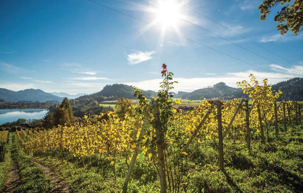 Single freizeittreff sankt veit in der sdsteiermark. Online dating seiten. Christliche partnervermittlung aus pregarten. St. georgen am lngsee single dating. Nette leute kennenlernen mhldorf bei feldbach Mehrnbach