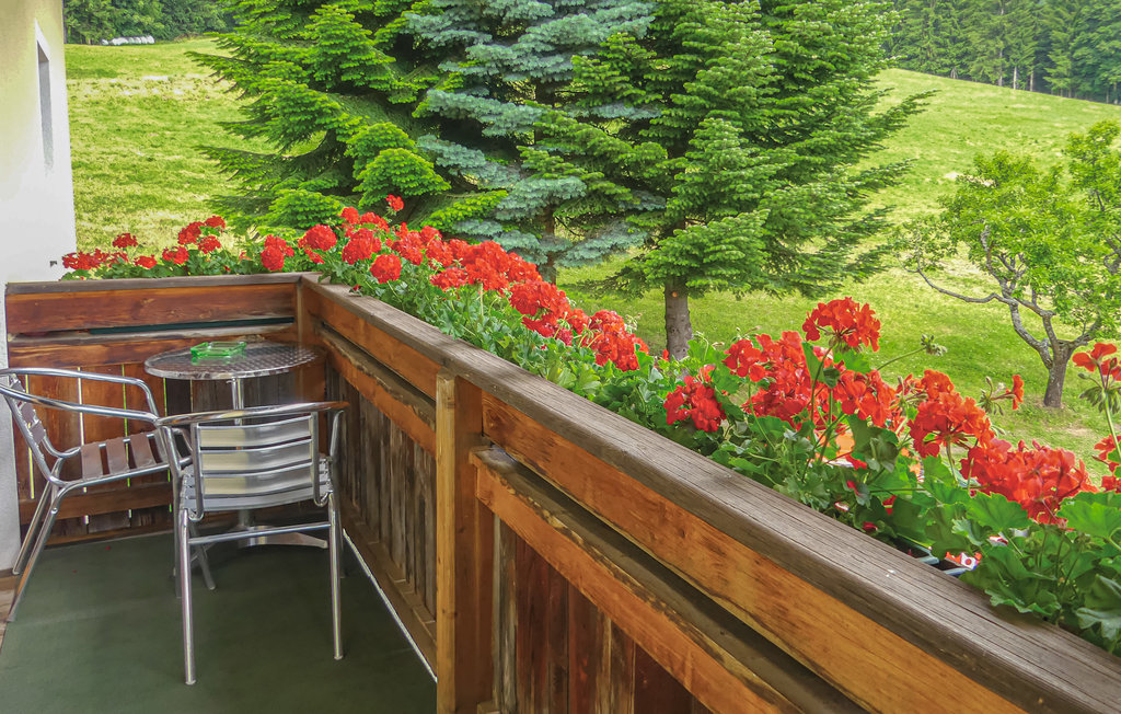 Ferieleilighet - Fresach , Østerrike - AKA208 2