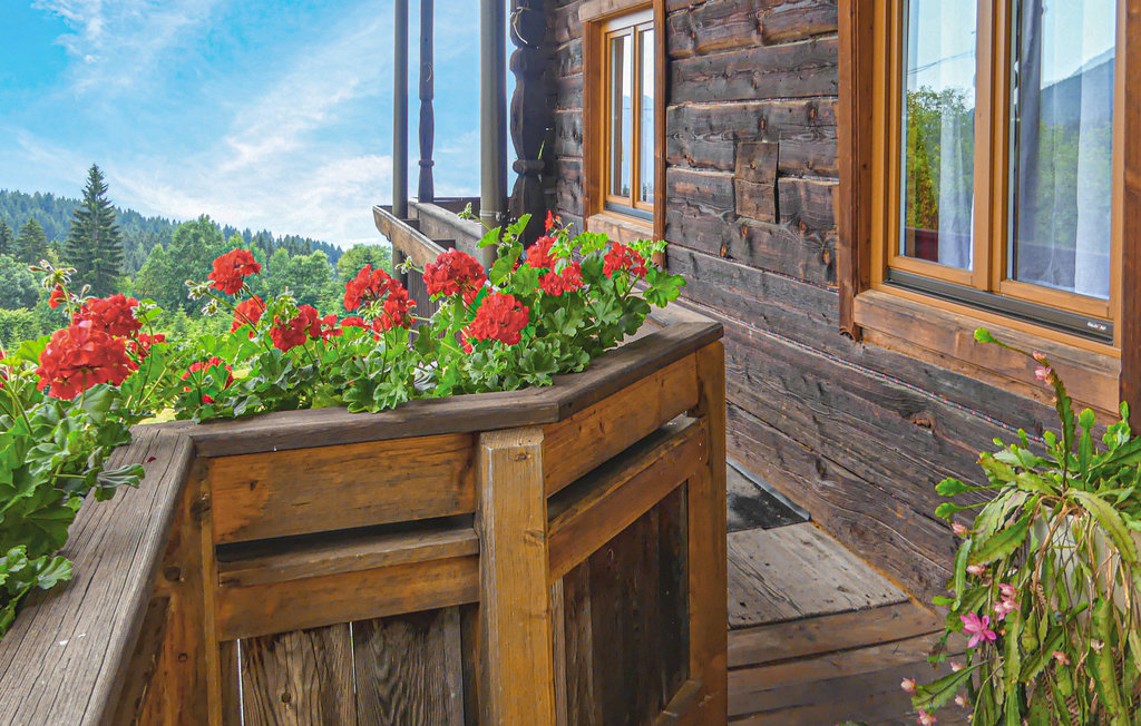 Ferieleilighet - Fresach , Østerrike - AKA208 9