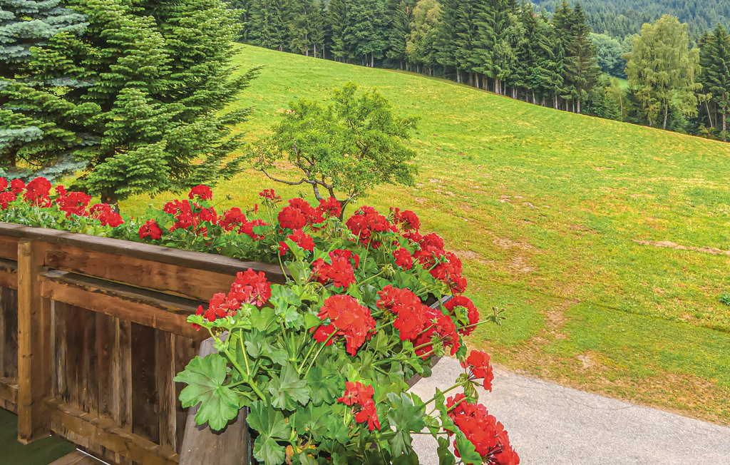 Ferieleilighet - Fresach , Østerrike - AKA208 10